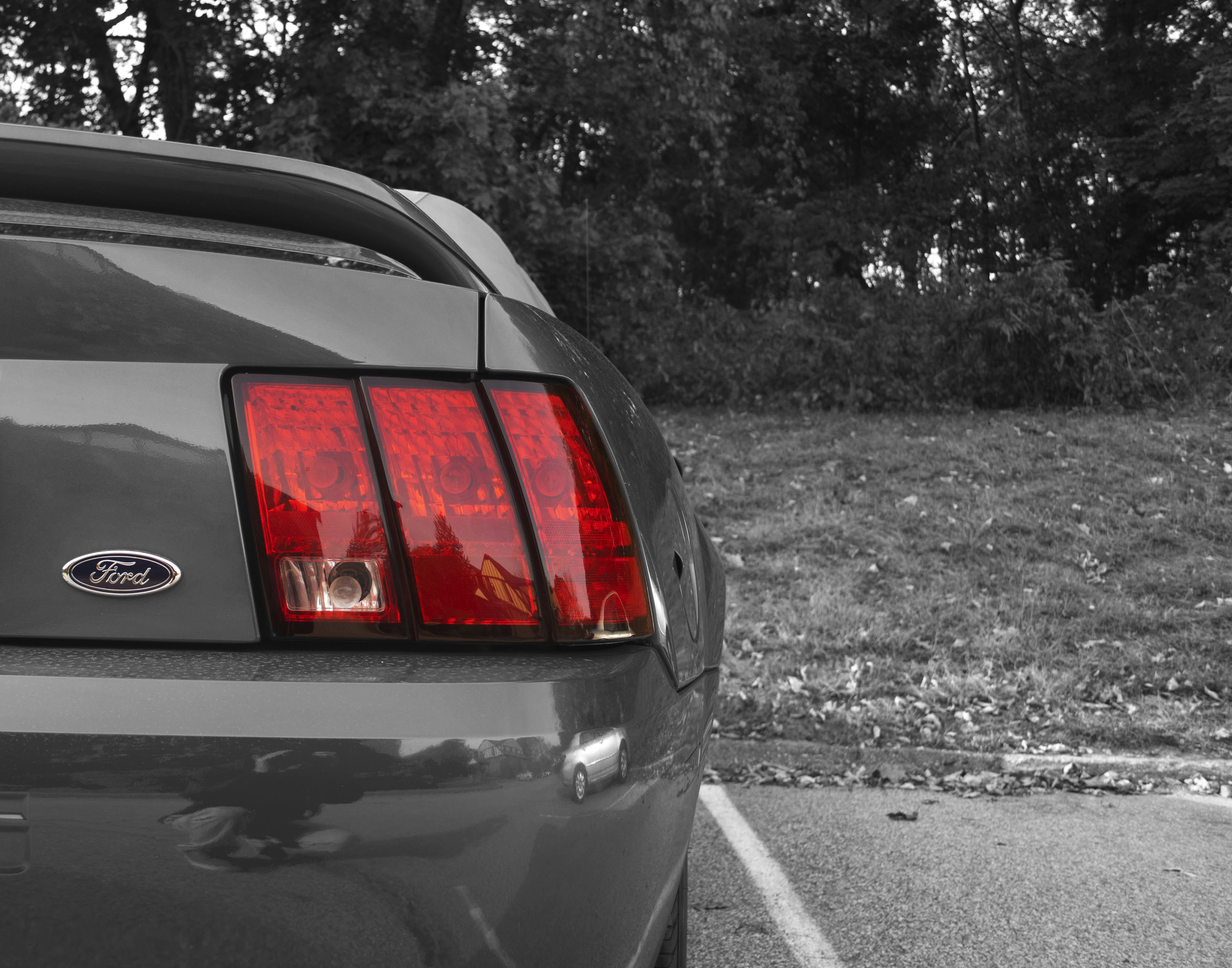 Mustang tail light